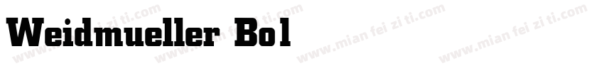 Weidmueller Bold字体转换